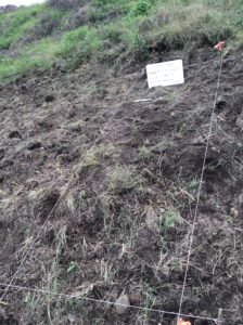 Area of 3 x 1 m marked before digging, Front A, 2015