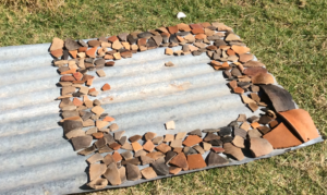 Sun dried sherds, 2015