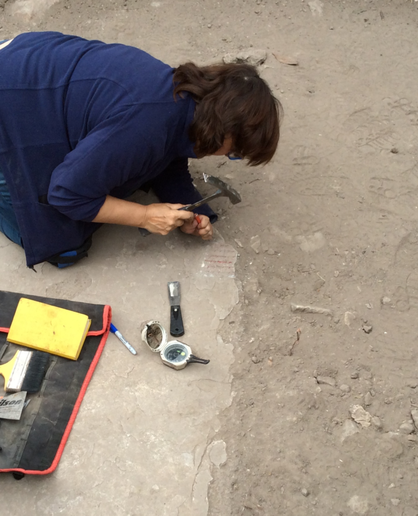 In the image we observe Dr. Soler extracting a piece of floor, which is marked with orientation and angle to the horizontal plane