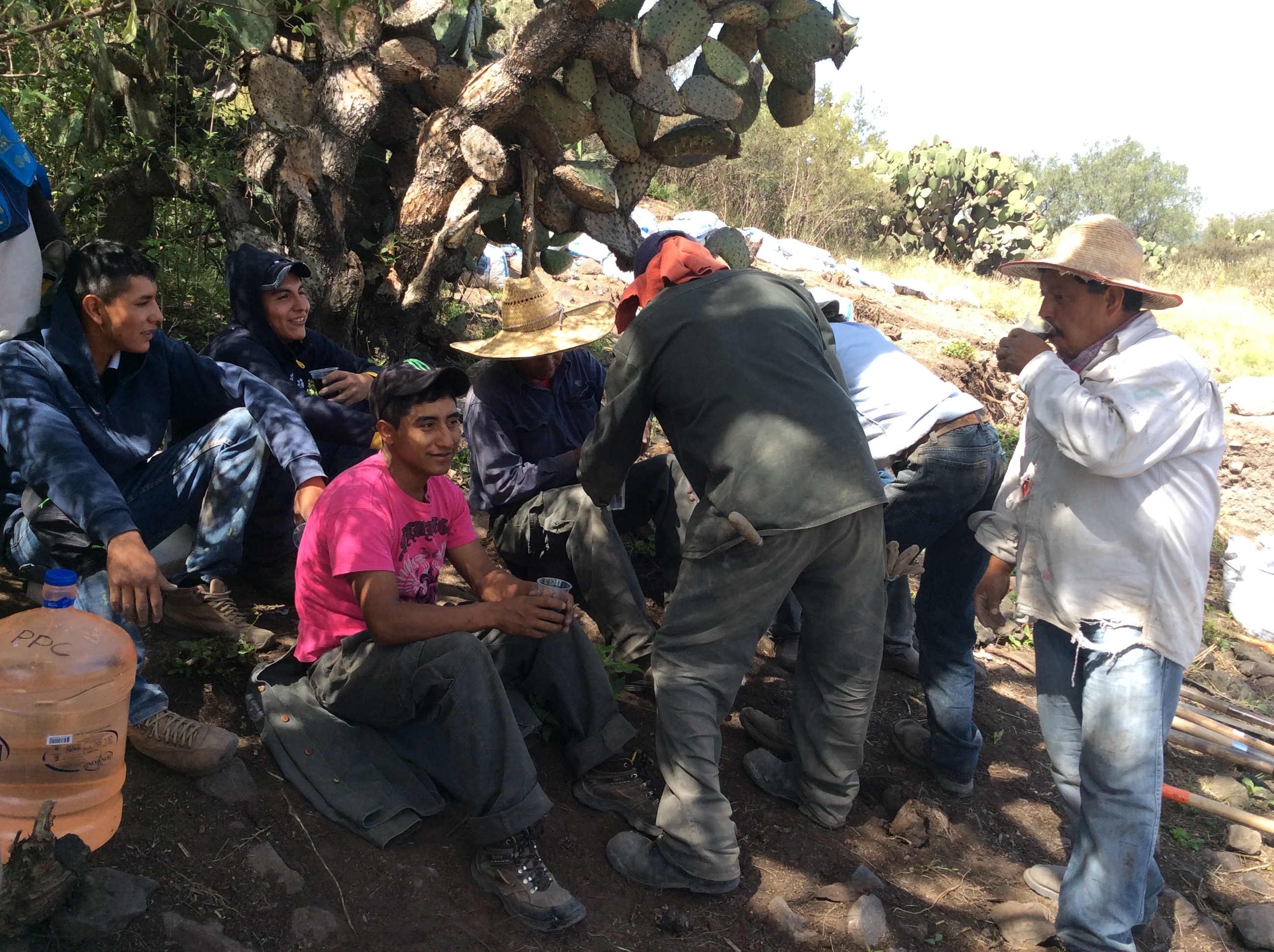 Trabajadores locales durante su descanso, Frente D, 2015